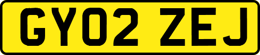 GY02ZEJ