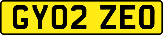 GY02ZEO