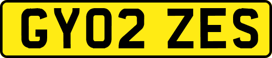 GY02ZES