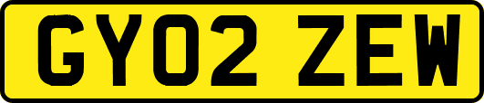 GY02ZEW