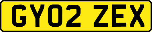 GY02ZEX