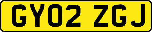 GY02ZGJ