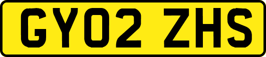 GY02ZHS