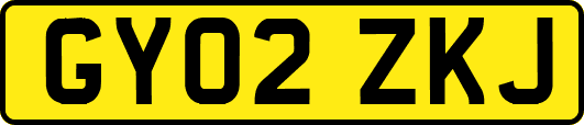 GY02ZKJ