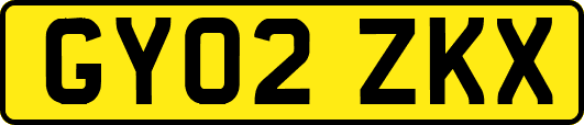 GY02ZKX