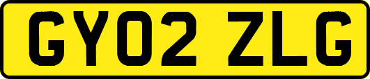 GY02ZLG