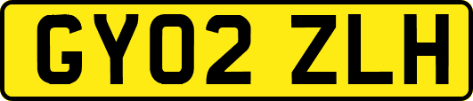 GY02ZLH
