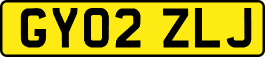 GY02ZLJ