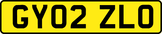 GY02ZLO