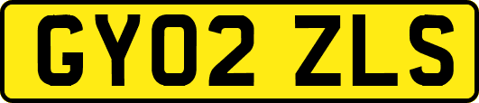 GY02ZLS