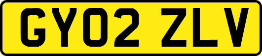 GY02ZLV