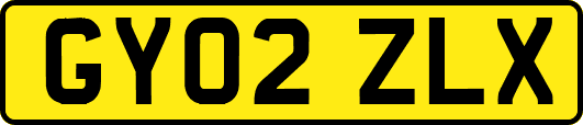 GY02ZLX
