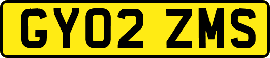 GY02ZMS