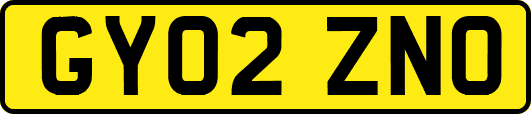 GY02ZNO