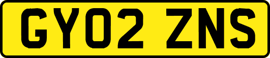GY02ZNS