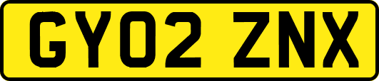 GY02ZNX