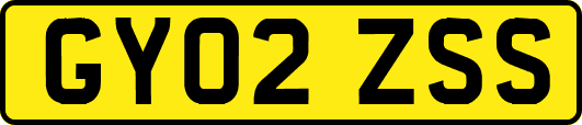 GY02ZSS