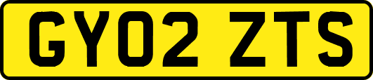 GY02ZTS