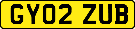 GY02ZUB