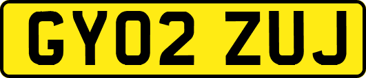 GY02ZUJ