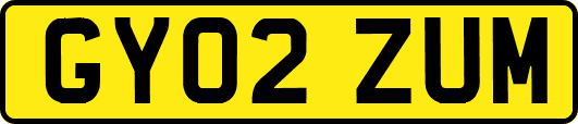 GY02ZUM