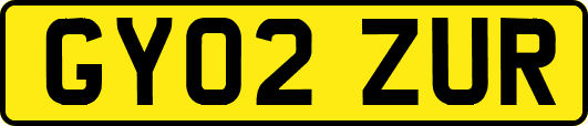 GY02ZUR