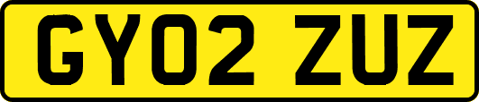 GY02ZUZ