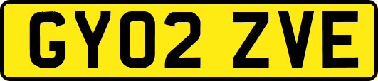 GY02ZVE