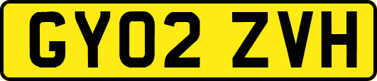 GY02ZVH