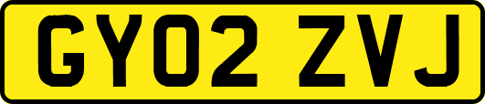 GY02ZVJ