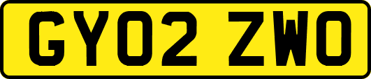 GY02ZWO