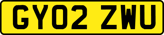 GY02ZWU