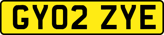 GY02ZYE