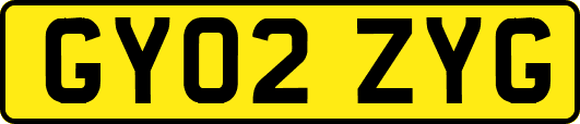 GY02ZYG