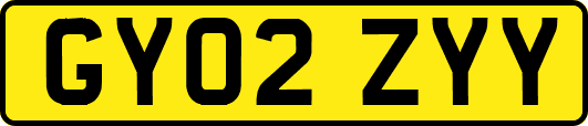 GY02ZYY
