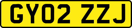 GY02ZZJ