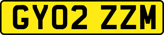 GY02ZZM