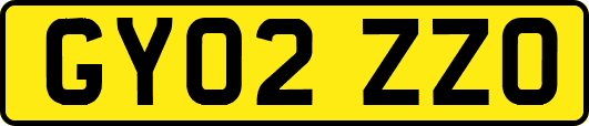 GY02ZZO