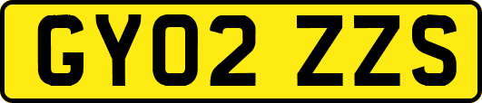 GY02ZZS