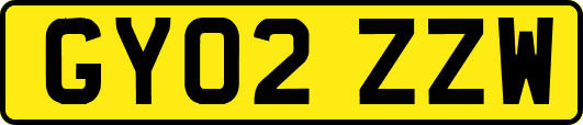 GY02ZZW