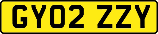 GY02ZZY
