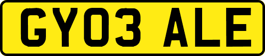 GY03ALE