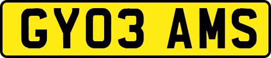 GY03AMS