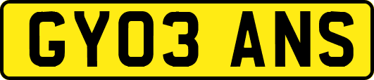 GY03ANS