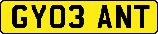 GY03ANT