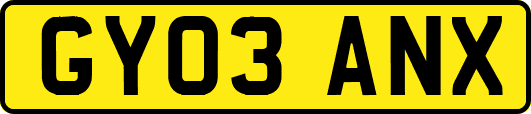 GY03ANX