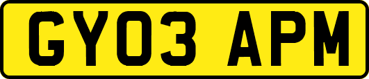 GY03APM