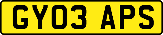 GY03APS
