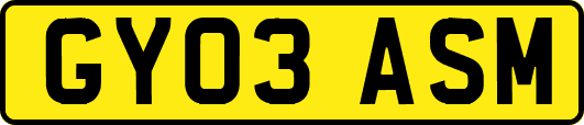 GY03ASM