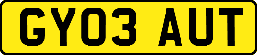 GY03AUT